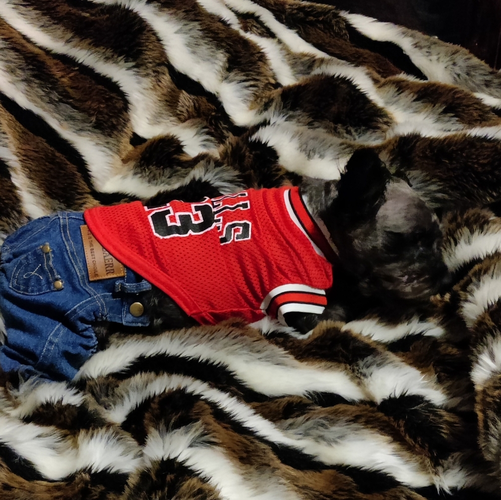 Meet your Posher, Suzanne